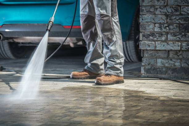 Best Driveway Cleaning and Restoration in Vaeboro, NC