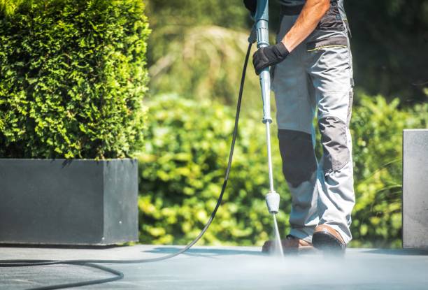 Best Residential Pressure Washing in Vaeboro, NC