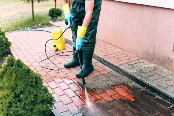 Best Fence Cleaning and Maintenance in Vaeboro, NC