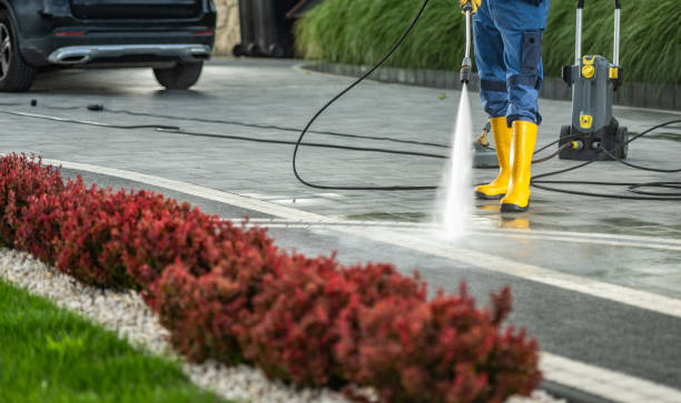 Best Sidewalk and Walkway Pressure Cleaning in Vaeboro, NC